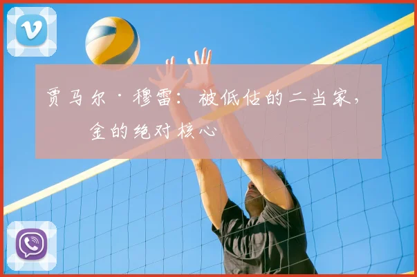 贾马尔·穆雷：被低估的二当家，掘金的绝对核心