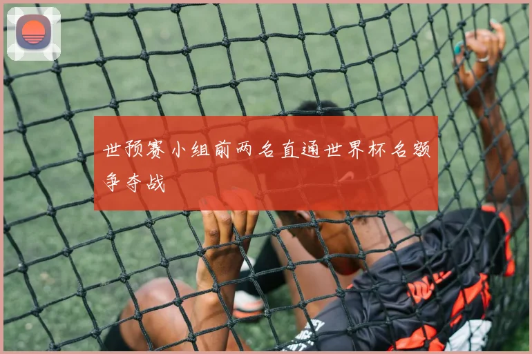 世预赛小组前两名直通世界杯名额争夺战