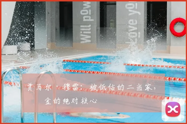 贾马尔·穆雷：被低估的二当家，掘金的绝对核心